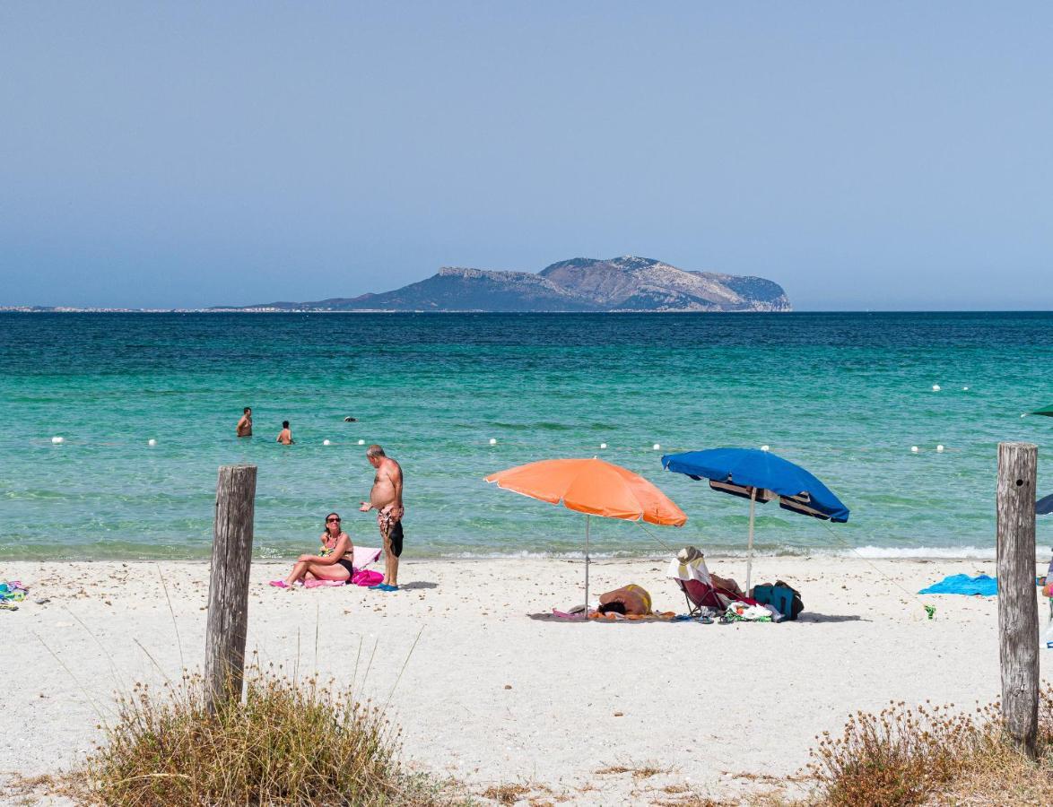 Myrsine Viola - Klodge Olbia Zewnętrze zdjęcie