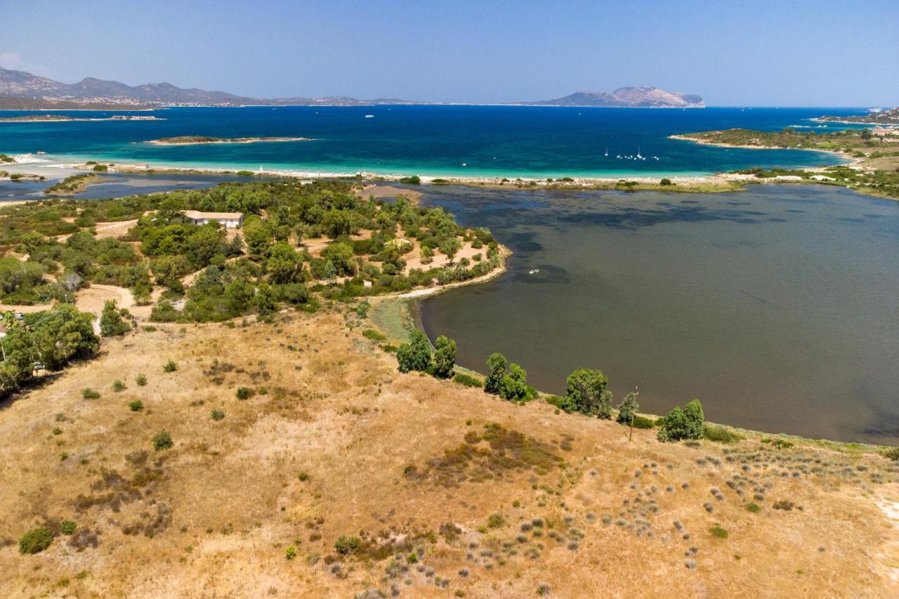 Myrsine Viola - Klodge Olbia Zewnętrze zdjęcie