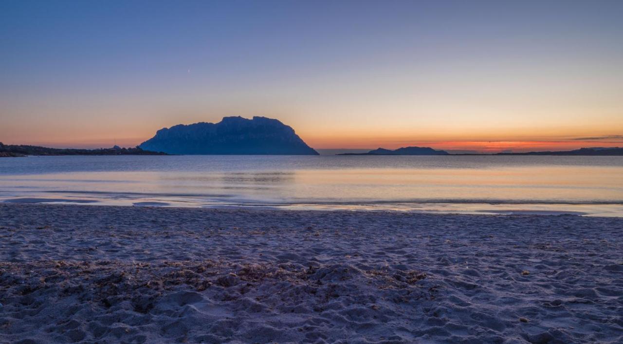 Myrsine Viola - Klodge Olbia Zewnętrze zdjęcie